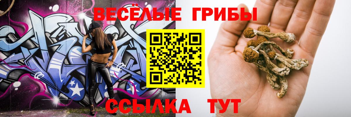 Псилоцибиновые грибы мухоморы  Псилоцибиновые грибы мицелий  Назарово  Вход с VPN 